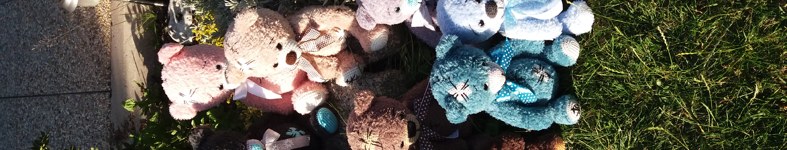 Banner profilu