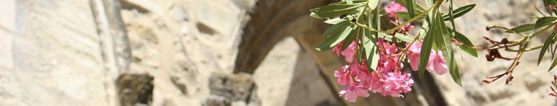 Banner profilu