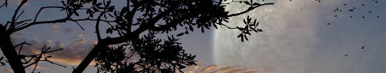 Banner profilu