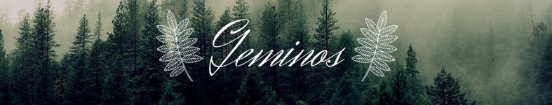 Banner profilu