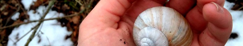 Banner profilu