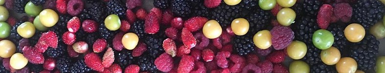 Banner profilu