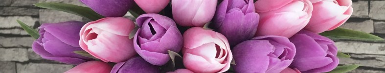 Banner profilu