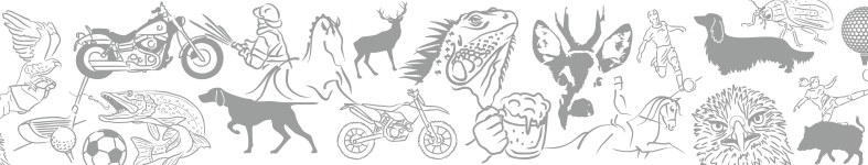 Banner profilu