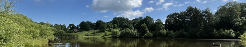 Banner profilu