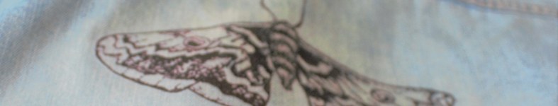 Banner profilu