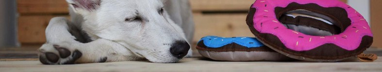 Banner profilu