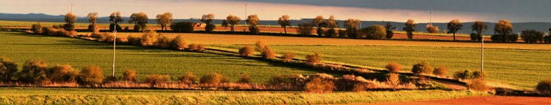 Banner profilu