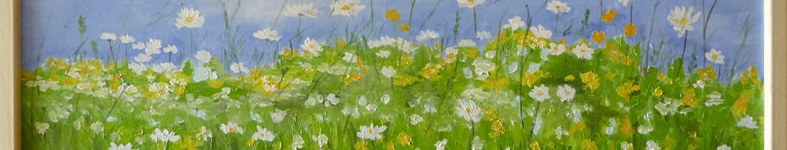 Banner profilu