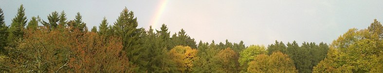 Banner profilu