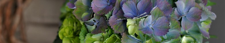 Banner profilu