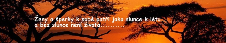Banner profilu