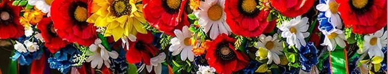 Banner profilu