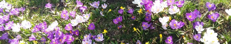 Banner profilu