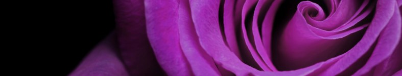 Banner profilu