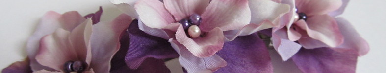 Banner profilu