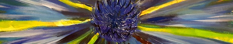 Banner profilu