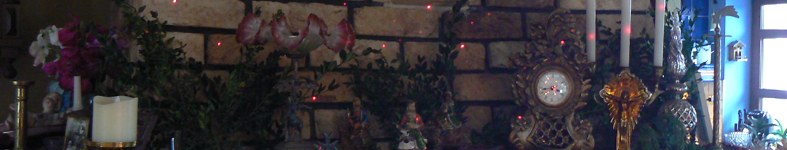 Banner profilu