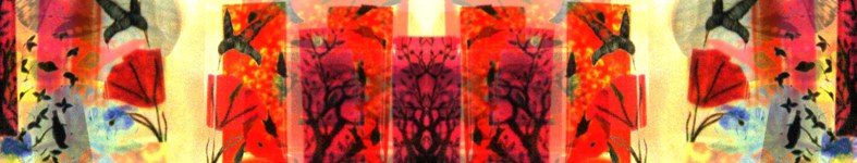Banner profilu