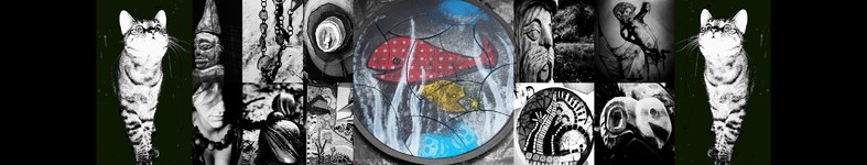 Banner profilu