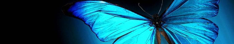 Banner profilu