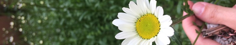 Banner profilu