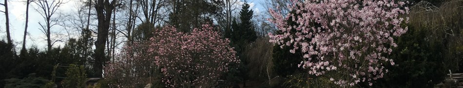 Banner profilu