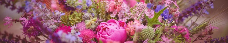 Banner profilu
