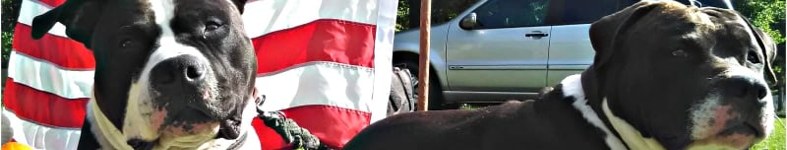 Banner profilu