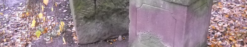 Banner profilu