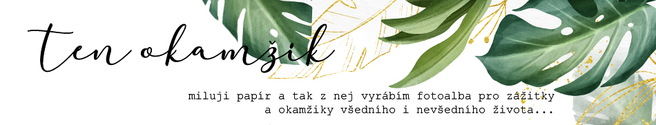 Banner profilu