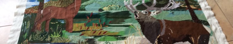 Banner profilu