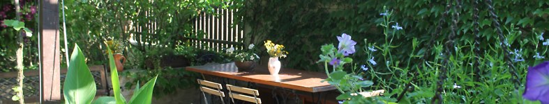 Banner profilu