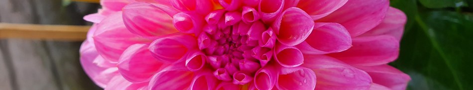 Banner profilu