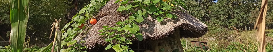Banner profilu
