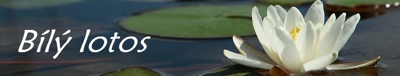 Banner profilu