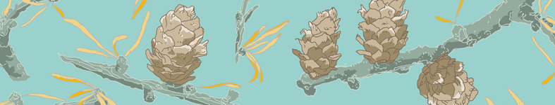 Banner profilu
