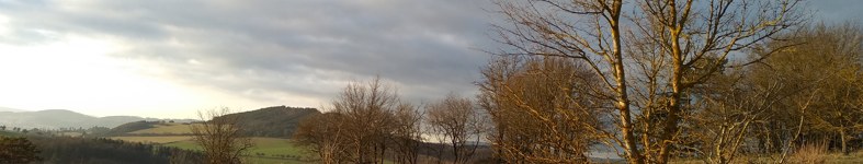 Banner profilu