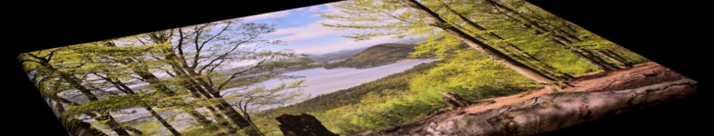 Banner profilu