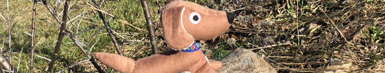 Banner profilu