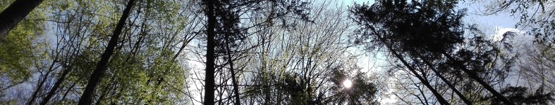 Banner profilu