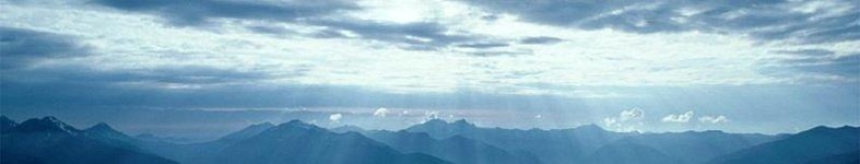 Banner profilu
