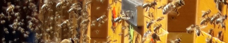 Banner profilu