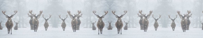 Banner profilu