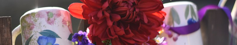 Banner profilu