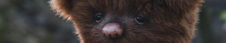 Banner profilu