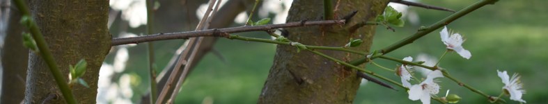 Banner profilu