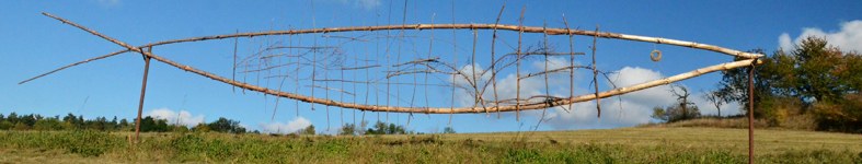 Banner profilu