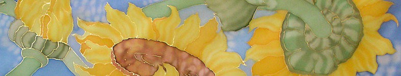 Banner profilu