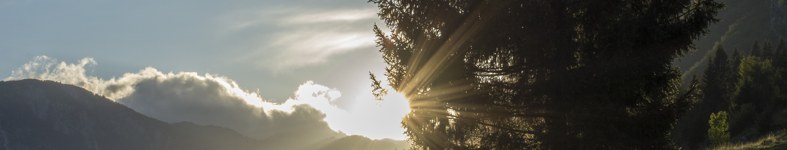 Banner profilu